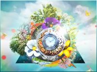 Stardust Reel 2009