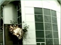 Russell Bowen VFXReel 2009